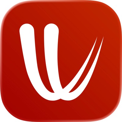 windy气象中文版