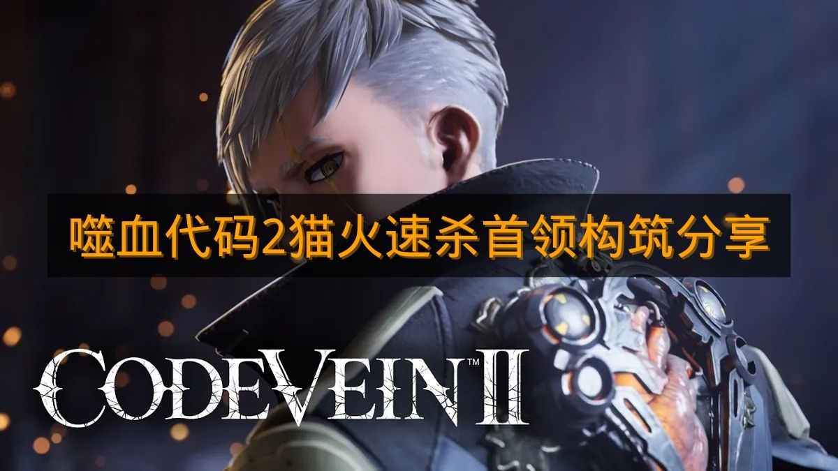 《噬血代码2》猫火速杀首领构筑分享