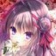 真爱百合直装版