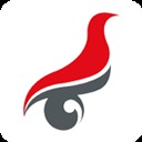 学信网完整版