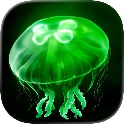 eggjelly中文版