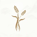 米禾阅读纯净版