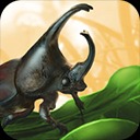 禁闭求生中文版