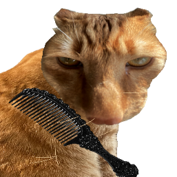 给猫梳毛手机版