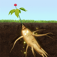 夺笋高手手机版