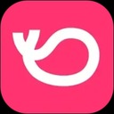 灰豚数据免费版
