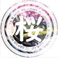 樱之空动漫