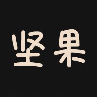 坚果视频4.0