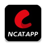 网飞猫电视版