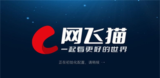 网飞猫