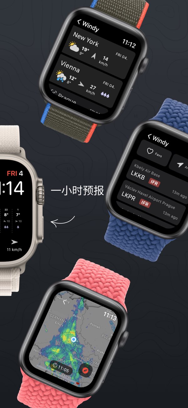 windy气象中文版截图4