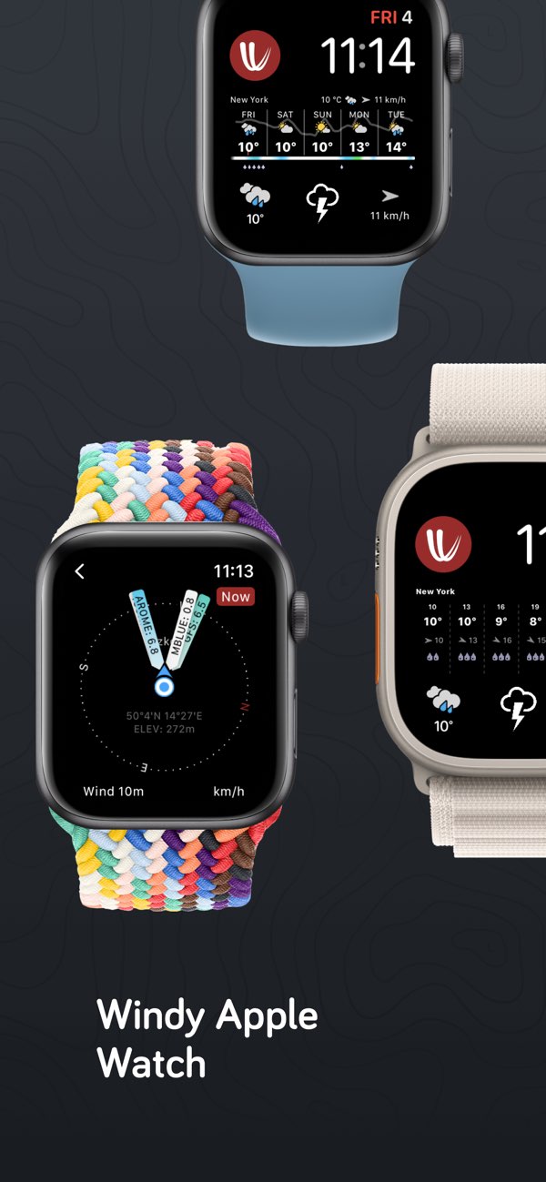 windy气象中文版截图3