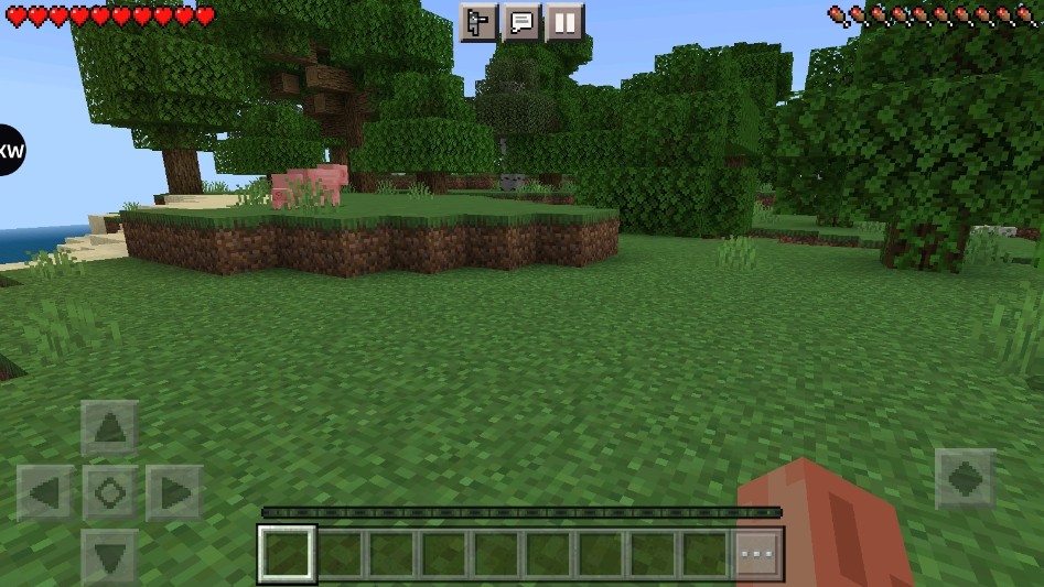 我的世界简化版截图0