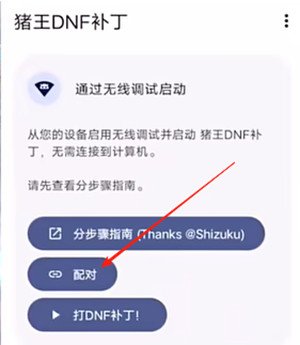 猪王DNF补丁大全免费版