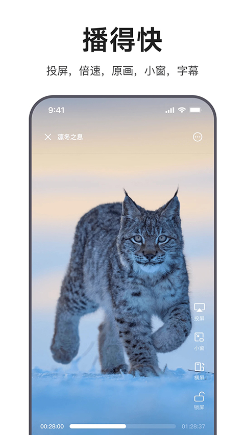迅雷浏览器手机版截图3
