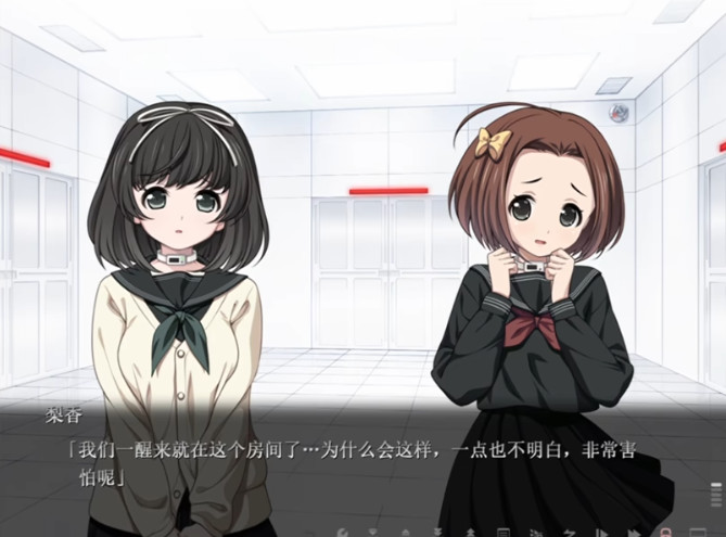 euphoria乐园