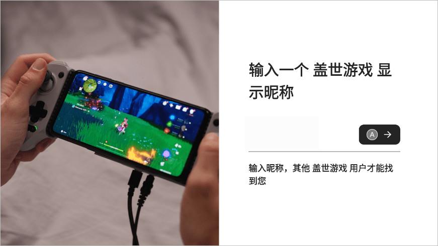 盖世小鸡模拟器