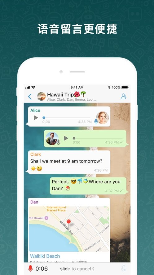 botim中文版截图0