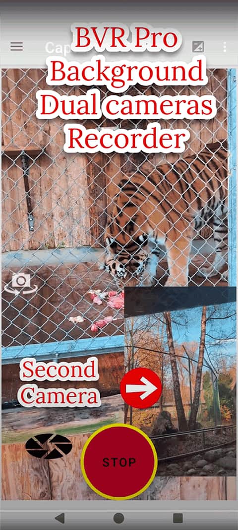 bvrpro中文版截图3