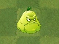 植物大战僵尸手表版