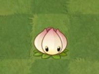 植物大战僵尸手表版