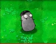 植物大战僵尸手表版