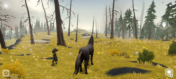 流浪荒野中文版