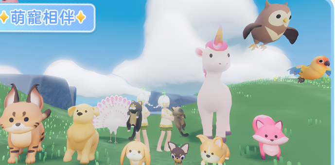 小岛有晴天国际版