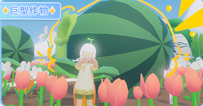 小岛有晴天国际版