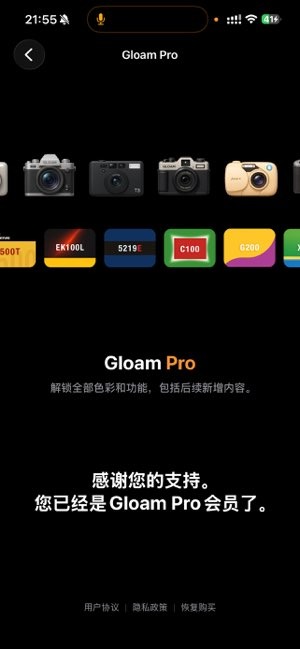 gloam相机截图5