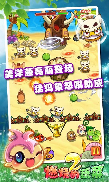 燃烧的蔬菜2经典版截图2