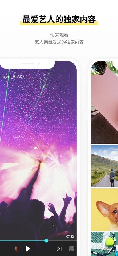 lysn国际版截图3