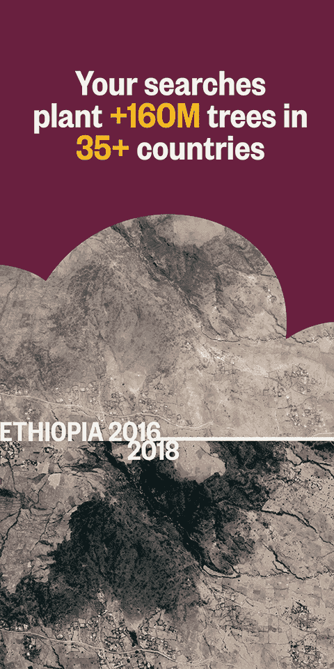 ecosia手机浏览器截图2