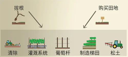 酿造物语中文版