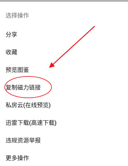 深度搜索最新版