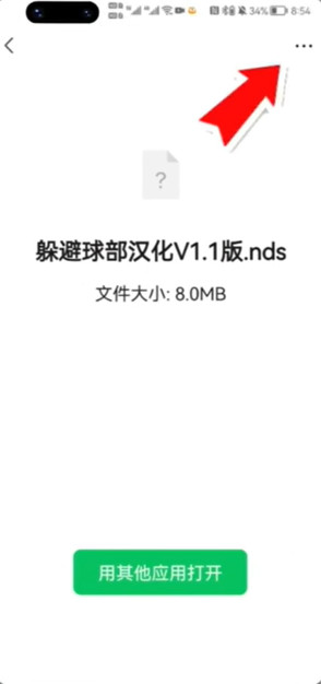 nds模拟器中文版