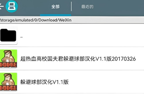 nds模拟器中文版