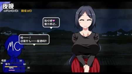 冬日狂想曲冷狐汉化版