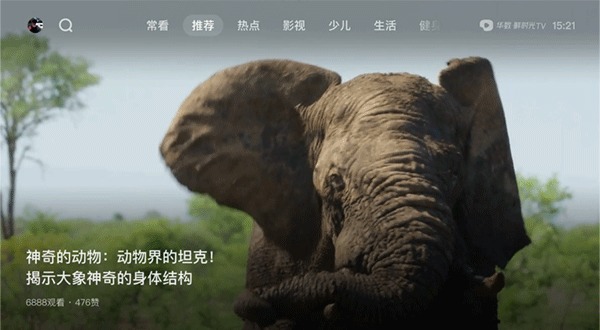 西瓜视频电视版截图2