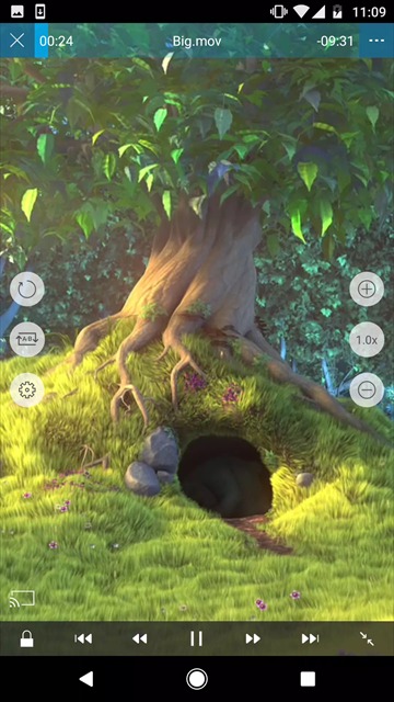 nplayer手机版截图0