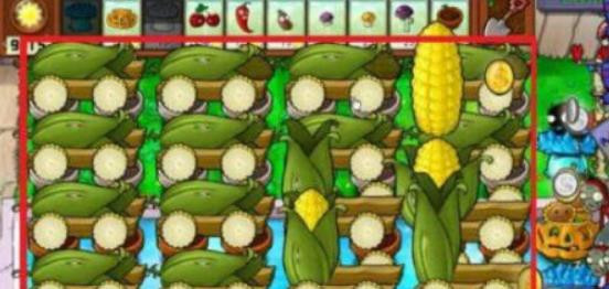 植物大战僵尸95版原版