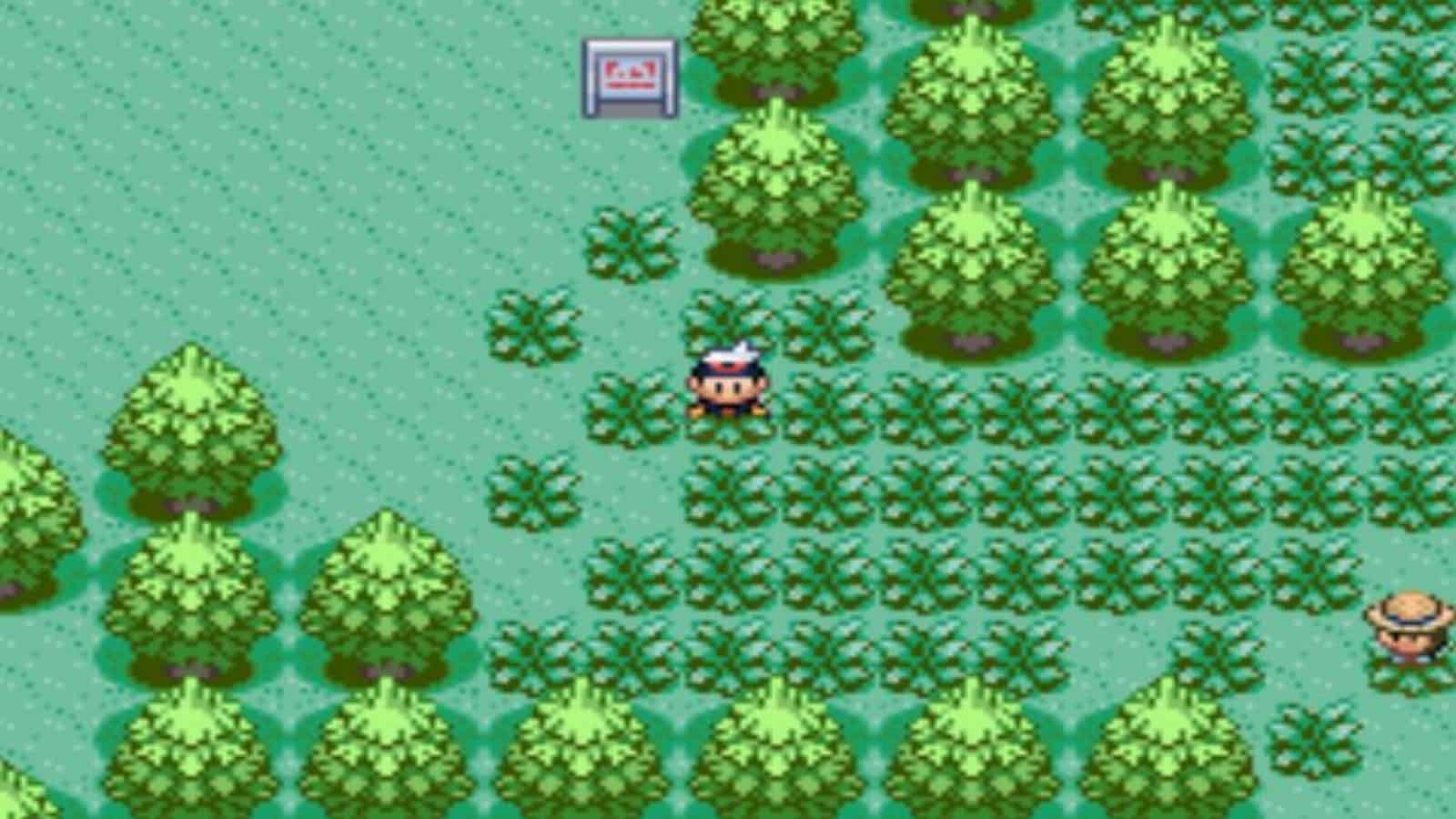 口袋妖怪漆黑的魅影截图1