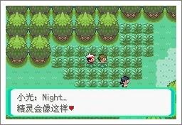 宝可梦漆黑的魅影5.0