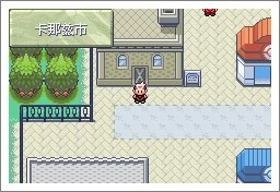 宝可梦漆黑的魅影5.0