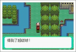 宝可梦漆黑的魅影5.0