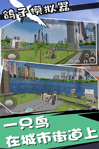 鸽子模拟器中文版截图4