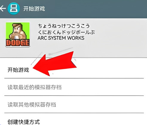 drastic模拟器中文版