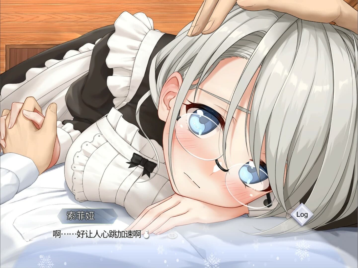 我与索菲亚的秘密完整版