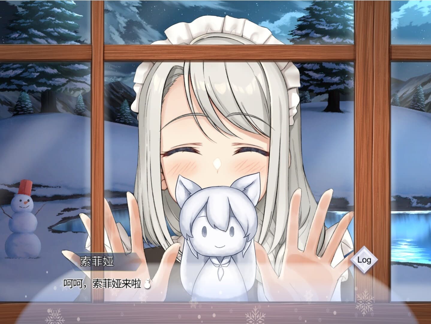 我与索菲亚的秘密完整版