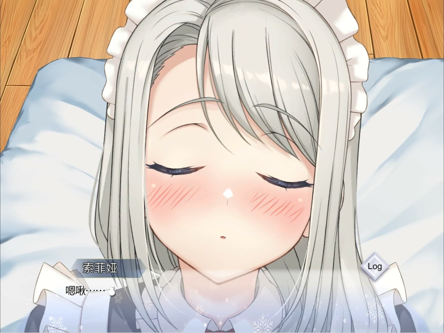 我与索菲亚的秘密完整版